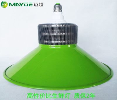工礦燈/生鮮燈套件：專業(yè)豬肉燈外殼，提升生鮮展示照明效果